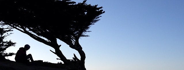 Lands End Coastal Trail is one of Perfect Day SF.