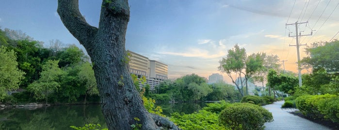 Schuylkill River Trail - Conshohocken is one of Pennsylvania - 1.