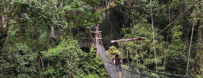 Canopy Walkway is one of Rexさんのお気に入りスポット.