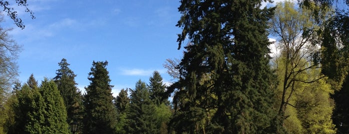 Laurelhurst Park is one of Perfect Places to Picnic.