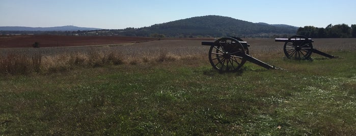 Cedar Mountain Battlefield is one of Virginia.