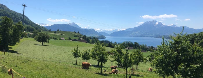 Alpenhof is one of Places to go in Switzerland.