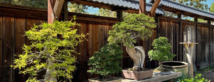 Bonsai Garden is one of East Bay faves.