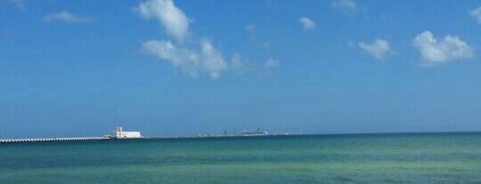 Progreso Beach is one of สถานที่ที่ Monica ถูกใจ.