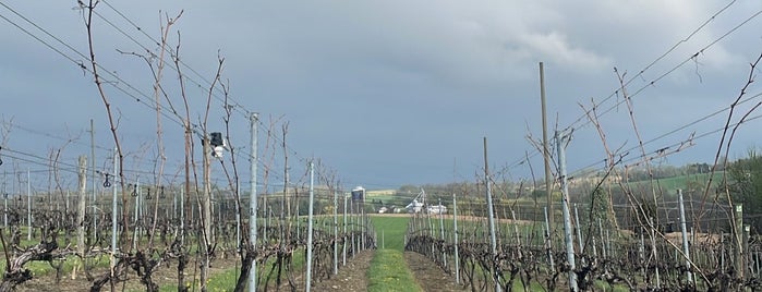 M & M Vineyards is one of Wineries.