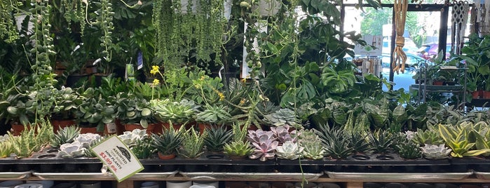 14th Street Garden Center is one of Plants 🌱 NYC.