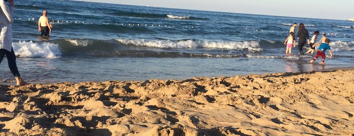 CREAZY BEACH is one of Deniz : понравившиеся места.