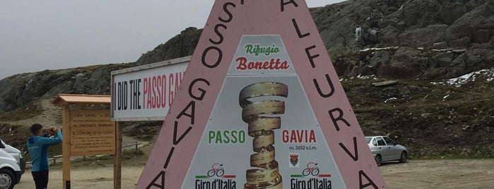 Passo Gavia is one of Garda Places.