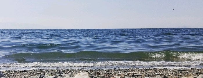 Sahilevleri Deniz Lojmanları is one of Ezgi'nin Beğendiği Mekanlar.