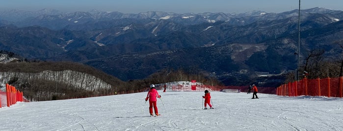 High1 Resort Ski Area is one of Ski.