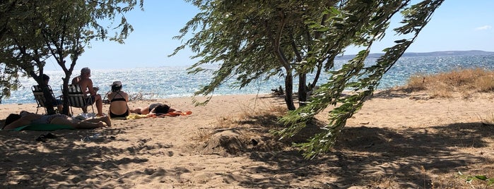 Dalyan Çamlık Beach is one of สถานที่ที่ Burcu ถูกใจ.