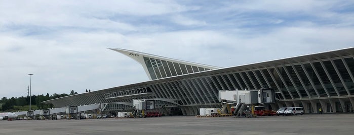 Gate A12 is one of aeropuertos.