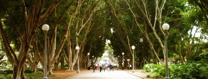 Hyde Park is one of Locais salvos de Leisa.