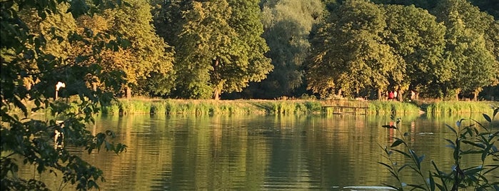 Верхній Голосіївський ставок is one of Летняя.