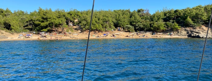 SALONIKIOS is one of Thasos Beachs.