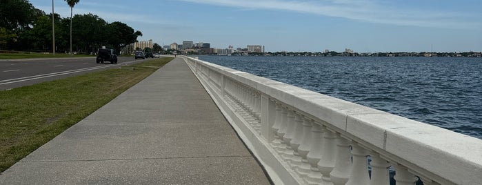 Bayshore Blvd. Seawall is one of Tampa, FL.