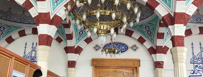 Abdurrahman Gazi Cami is one of Mosques.