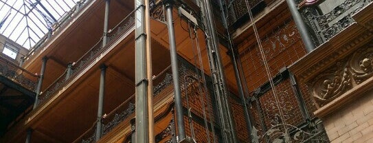 Bradbury Building is one of On the fly.