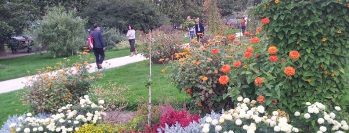 Jardin des Plantes is one of My Parisian nostalgia.