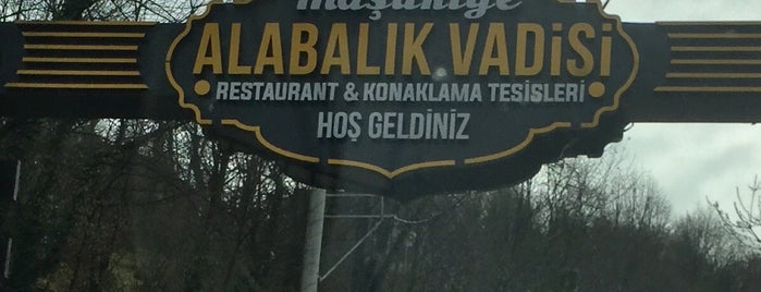 Alabalık Vadisi Tesisleri is one of Lieux sauvegardés par B.