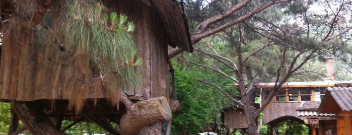 Türkmen Tree Houses is one of Olympos.