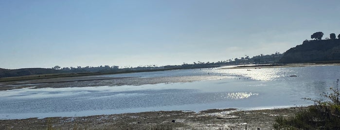 Upper Newport Bay - Ecological Reserve is one of OC Extraordinaire.