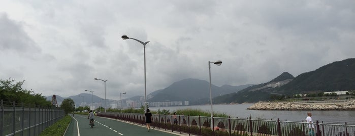 Lohas Park Road 康城路 is one of hk.