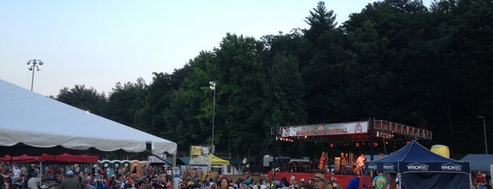 Blue Ridge BBQ & Music Festival is one of Western NC Fairs and Festivals.