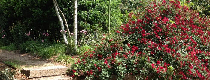 McGill Rose Garden is one of The 15 Best Places with Gardens in Charlotte.