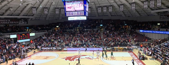 SIU Arena is one of NCAA Division I Basketball Arenas/Venues.