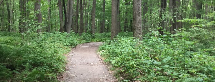 Beam Rocks Trail is one of Lugares favoritos de Shelley.