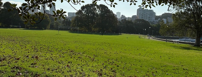 Rushcutters Bay Park is one of Sydney.