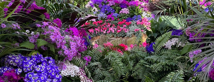 Conservatory is one of Melbourne Sights.