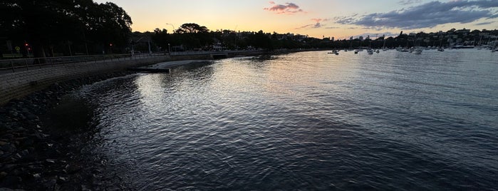 Rose Bay Promenade is one of Local.