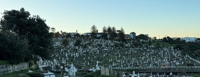 Waverley Cemetery is one of Guide to Sydney.