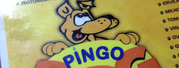 Pingo Dog is one of Lugares pra comer no Portão / Água Verde.