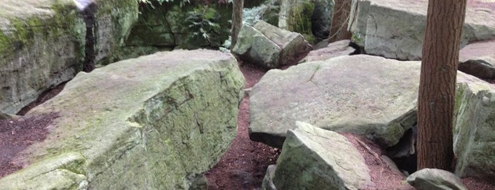 Bilger's Rocks is one of สถานที่ที่ Tom ถูกใจ.