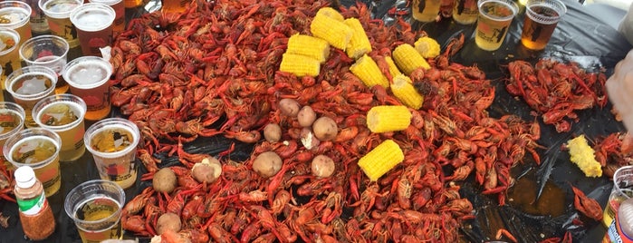 LSU Alumni Association Annual Crawfish Boil is one of Orte, die Conrad & Jenn gefallen.