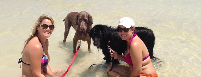 Honeymoon Island State Park Pet Beach is one of Cross Country.