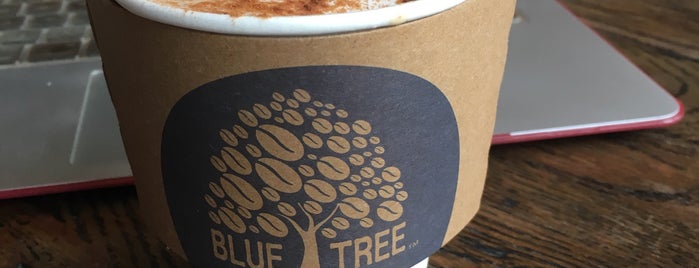 BLUETREE TOKYO is one of 東京（渋谷区）.