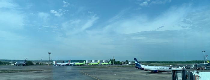 Выход 12А / Gate 12A is one of DME Airport Facilities.