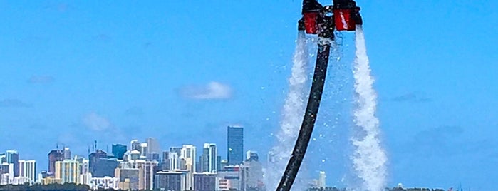 Flyboard305 is one of US - Miami.