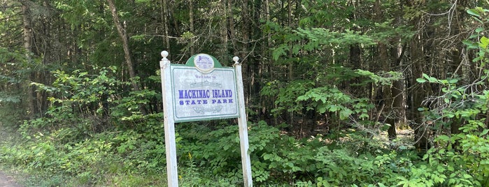 Mackinac Island State Park is one of Lake Michigan trip.