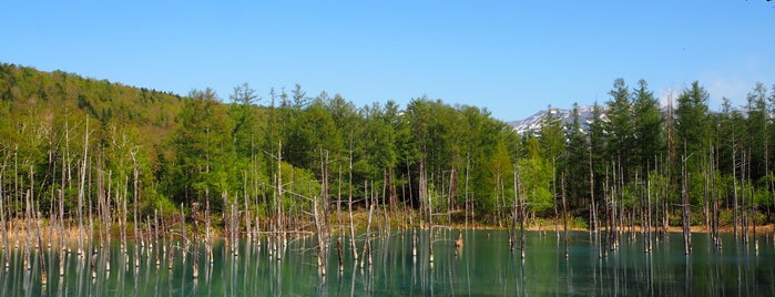 Shirogane Blue Pond is one of Natural Parks.