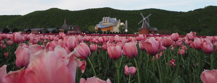 Kamiyubetsu Tulip Park is one of Hokkaido Places.