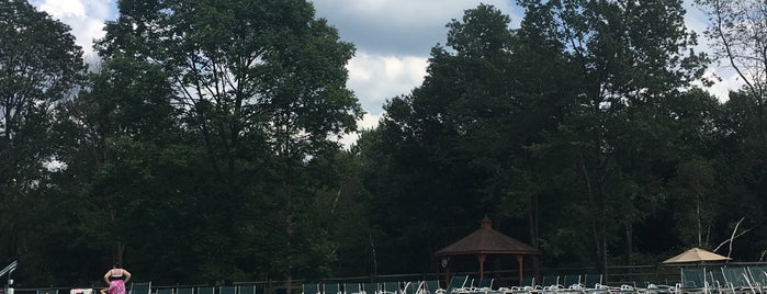 Timber Trails Pool - Lake Naomi Club is one of Lugares favoritos de Jason.