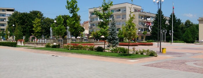 Pavlikeni is one of Bulgarian Cities.