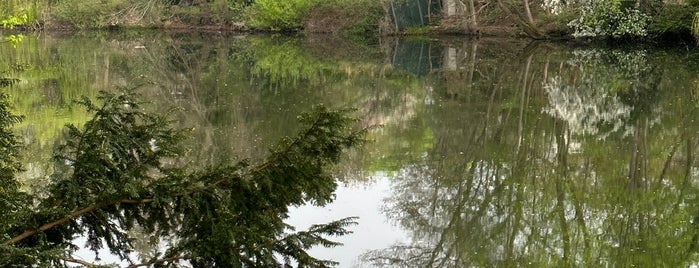 Hubertussee is one of Berlin Best: Parks & Lakes.