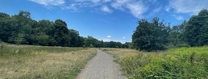 Wuhlheide is one of Berlin Best: Parks & Lakes.