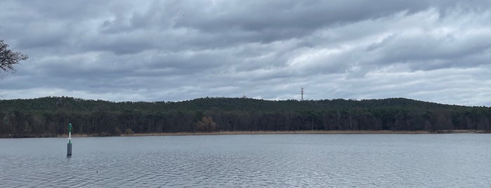 Bammelecke is one of Berlin-Brandenburg – Nature Lakes.